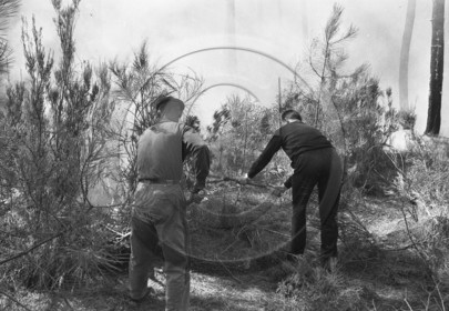 Pompiers du bassin d'Arcachon