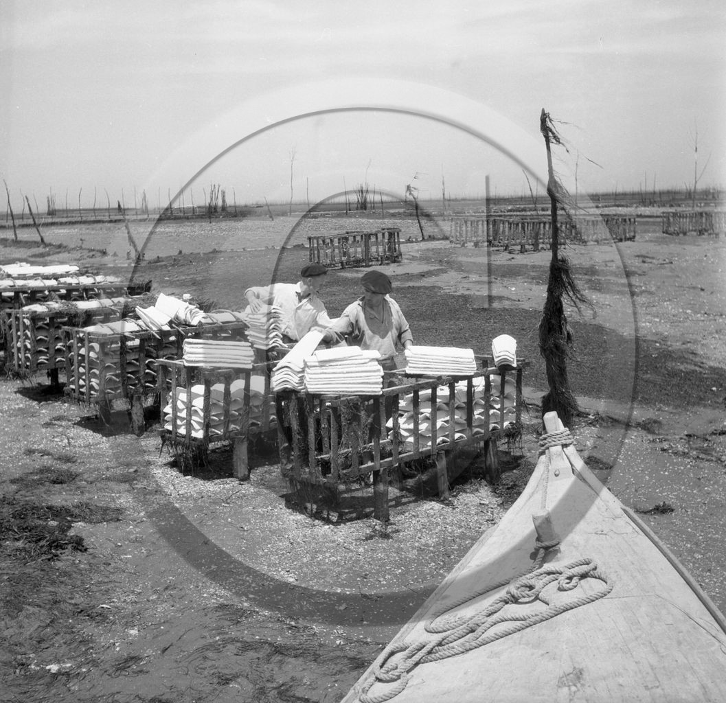 arc 2845 parc huitres .jpg