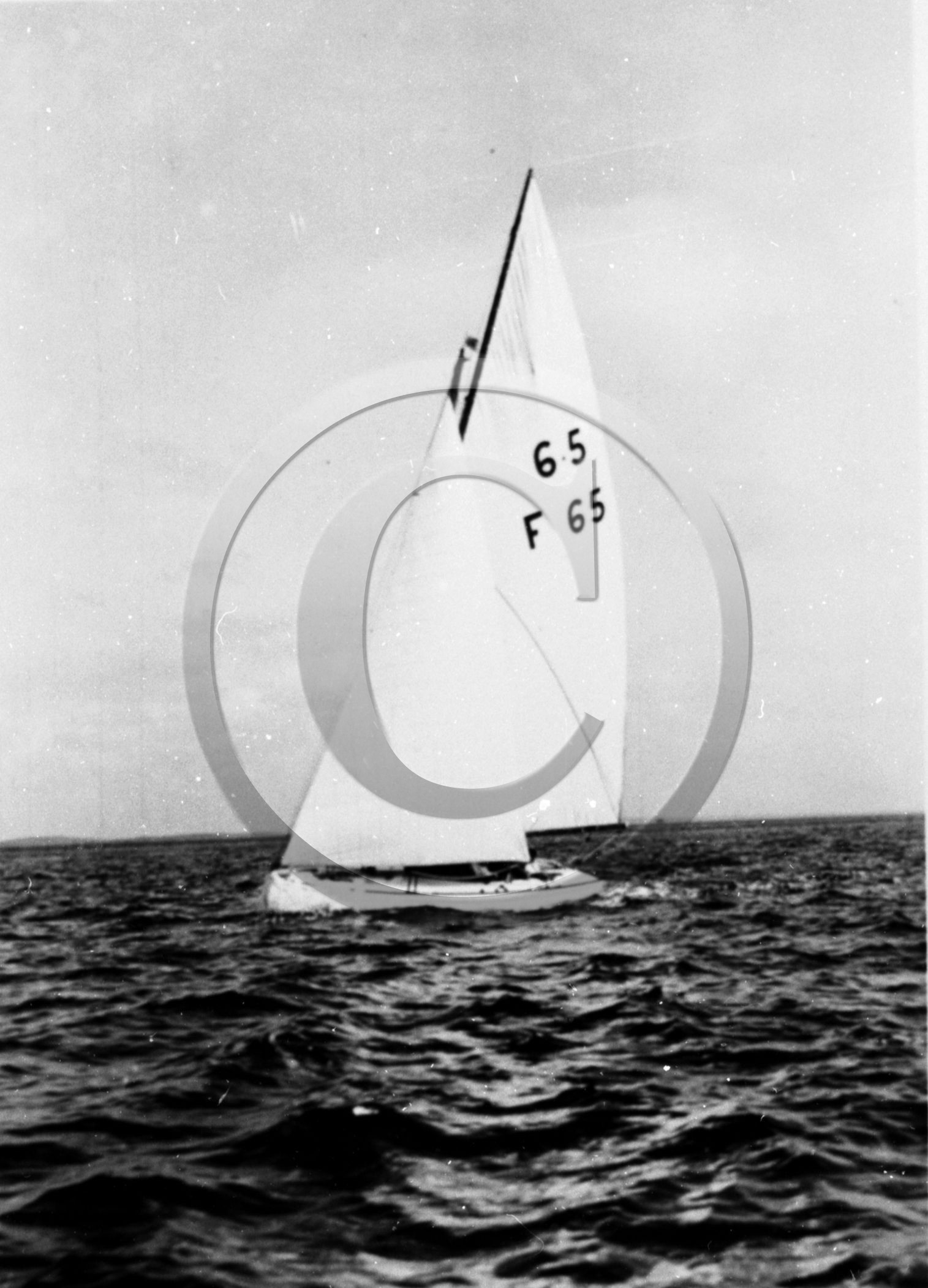 arc 3438   6m50  F 65 .jpg