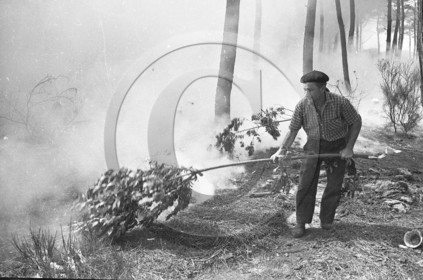 Pompiers du bassin d'Arcachon