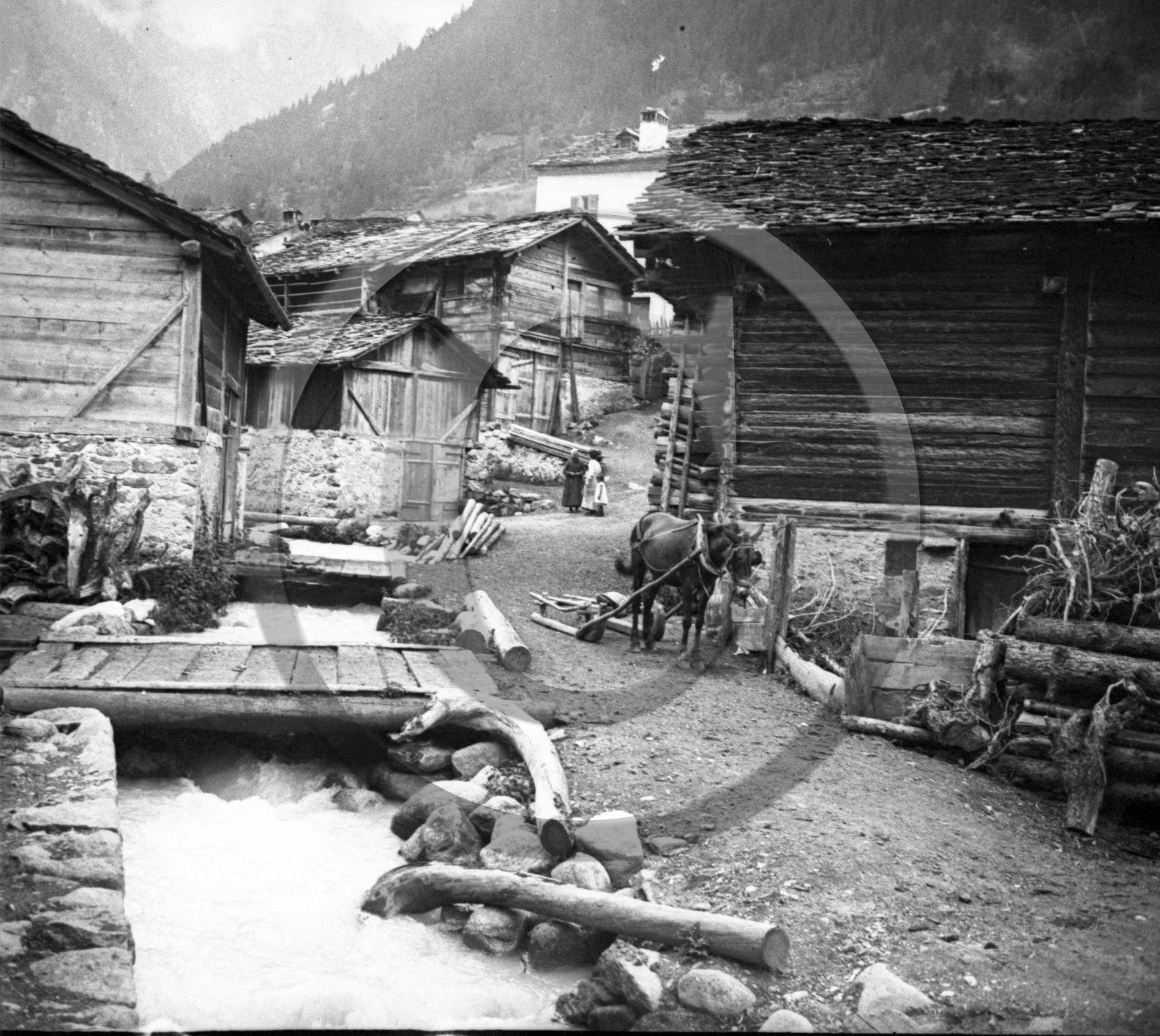 AG 737 mule avec traineau village montagne.jpg