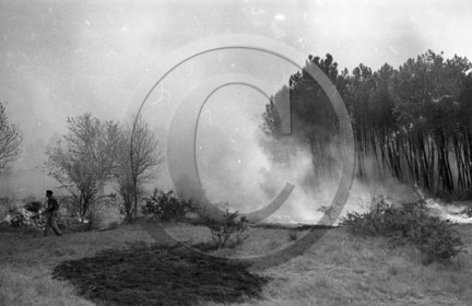 Pompiers du bassin d'Arcachon
