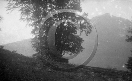 vi  492 chasse a la palombe Sare 1929 dpt 64 .jpg