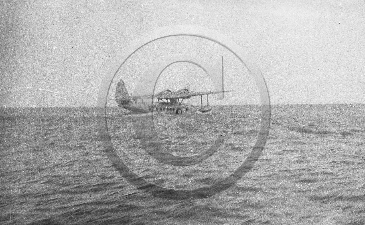 AVI 208 hydravion .jpg