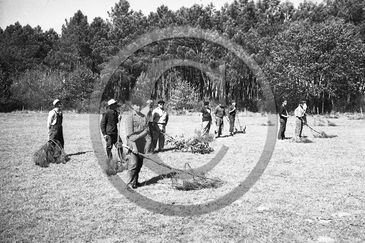 Pompiers du bassin d'Arcachon
