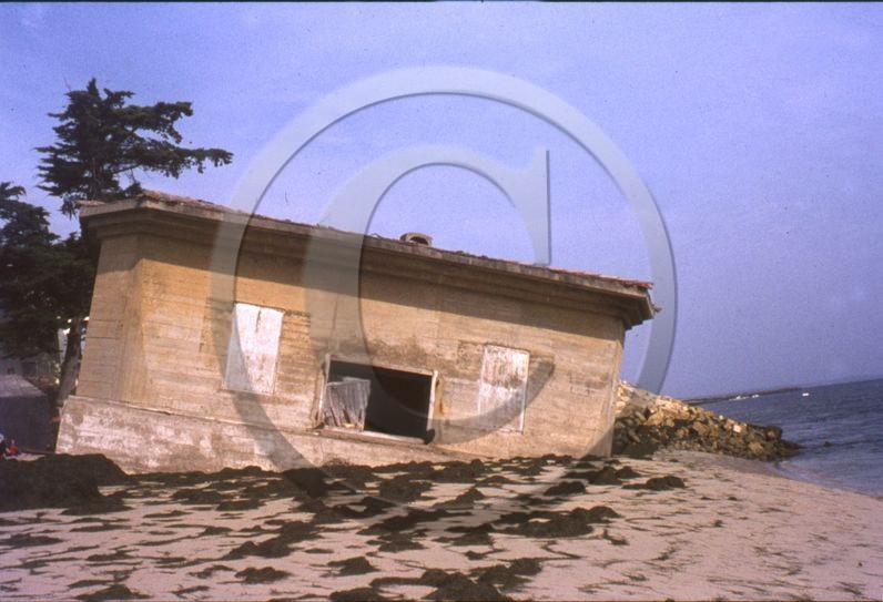 arc 4024  Hortense 1964.jpg