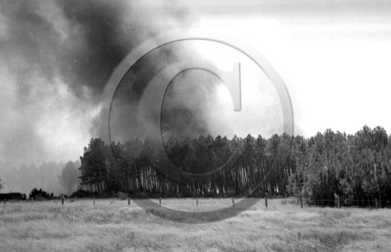 Pompiers du bassin d'Arcachon