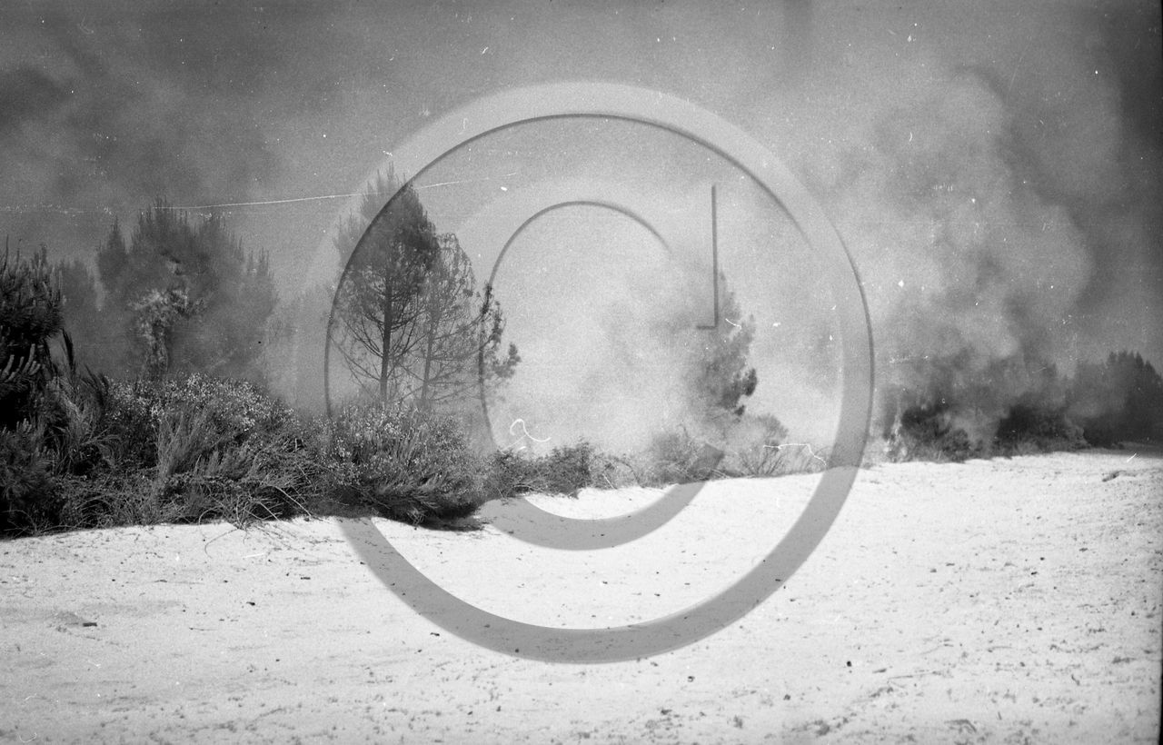 Pompiers du bassin d'Arcachon