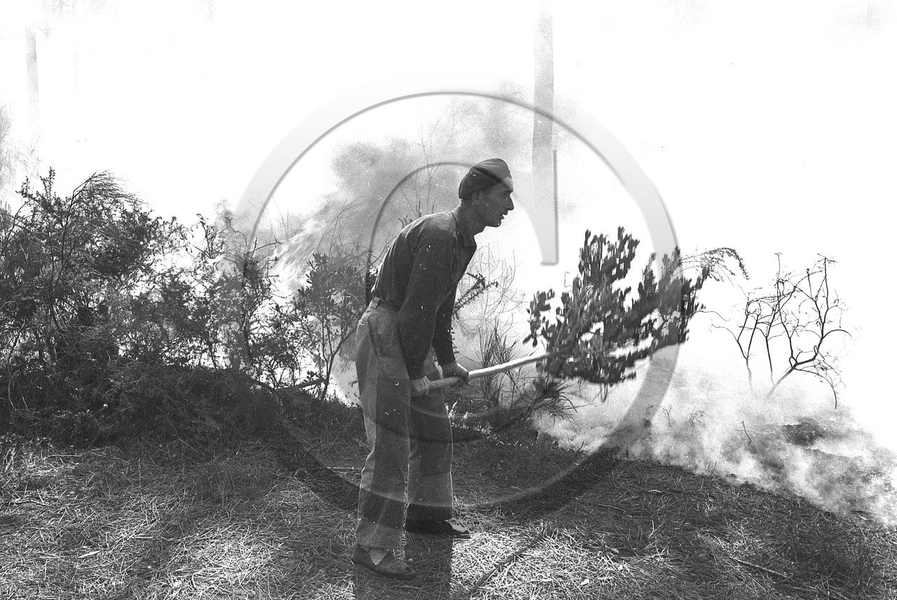 Pompiers du bassin d'Arcachon