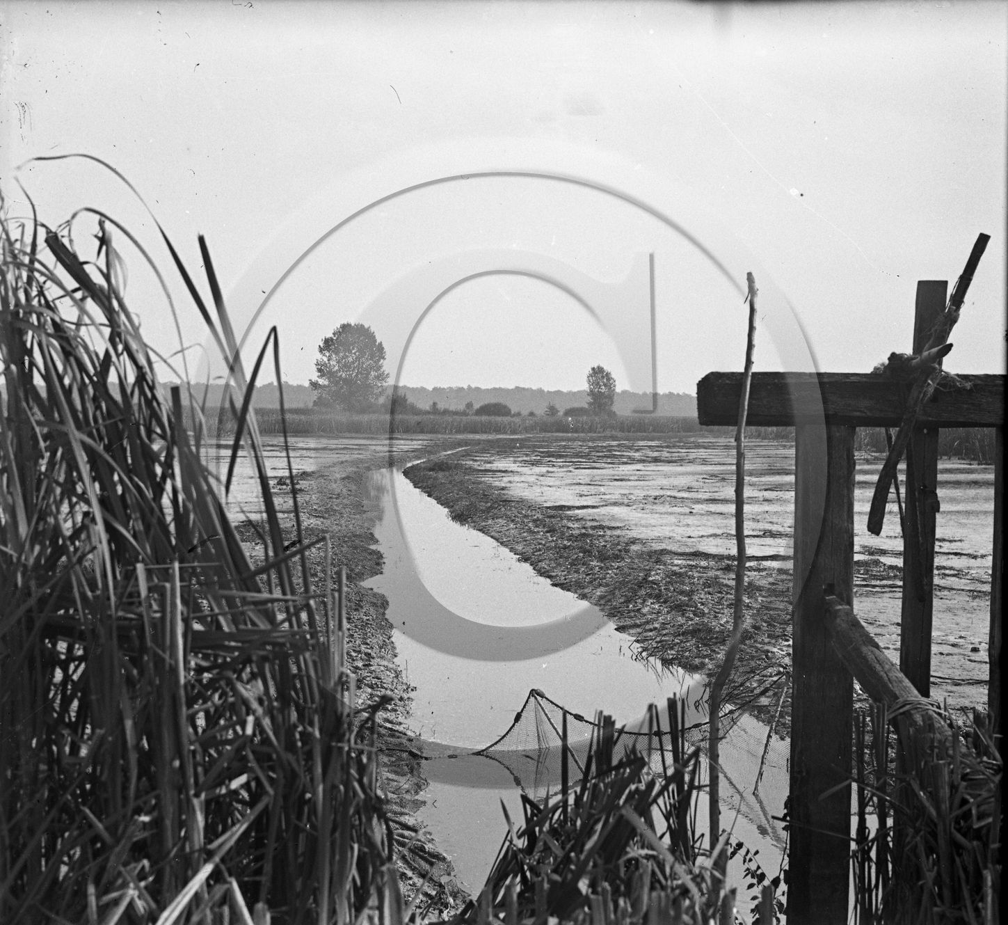 SL 316  peche filet dans canal série de 7 négatifs .jpg